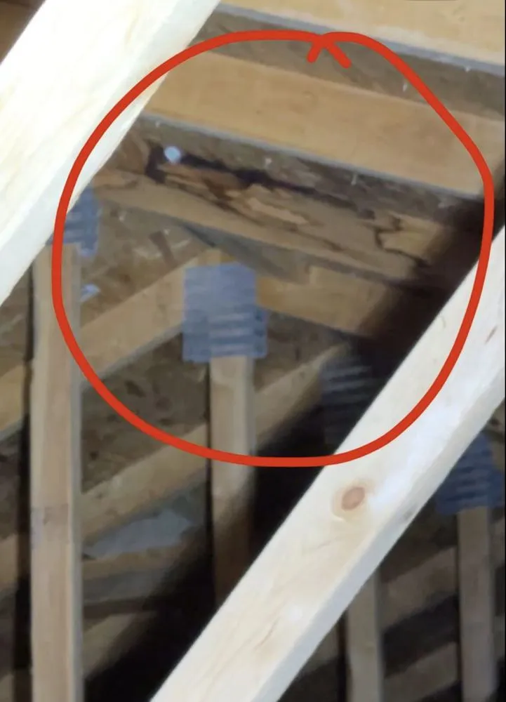 Slide of Pro Roofing Solutions