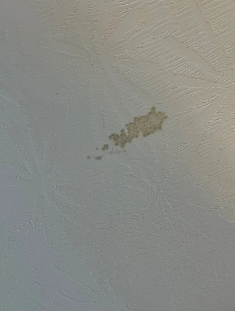 Slide of Pro Roofing Solutions