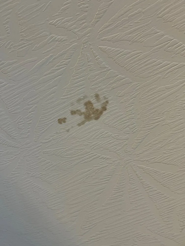 Slide of Pro Roofing Solutions