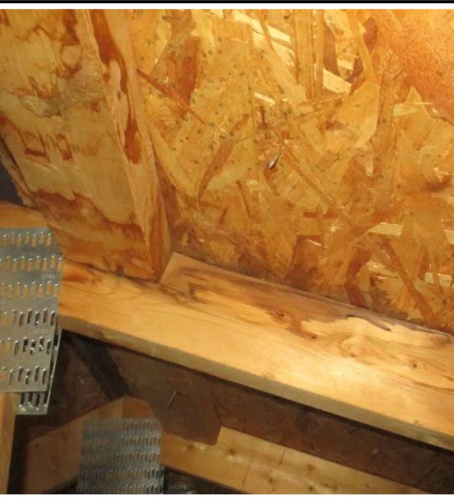 Slide of Pro Roofing Solutions