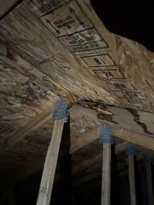 Pro Roofing Solutions Logo