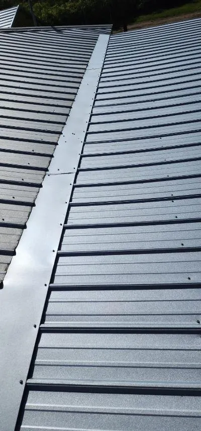 Slide of Pro Roofing Solutions