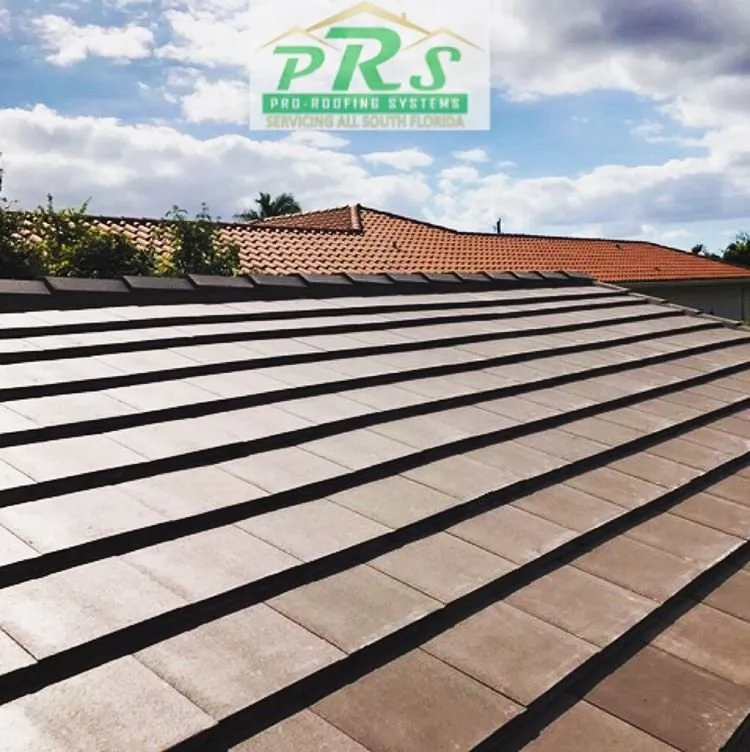 Slide of Pro-Roofing Systems