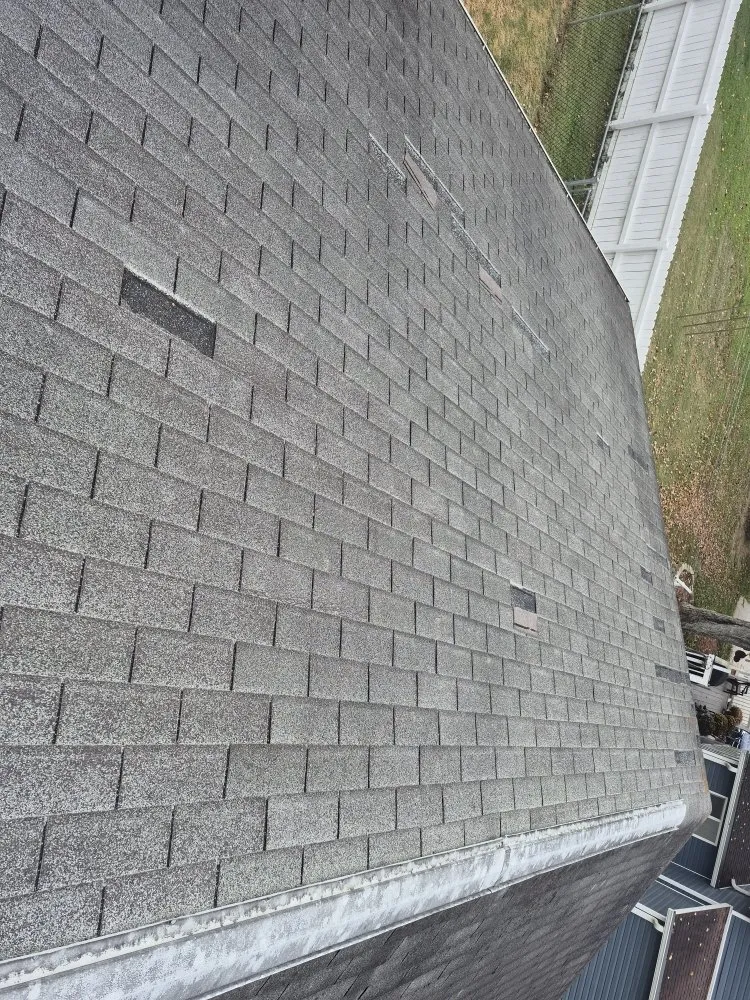 Slide of Pro Roofing