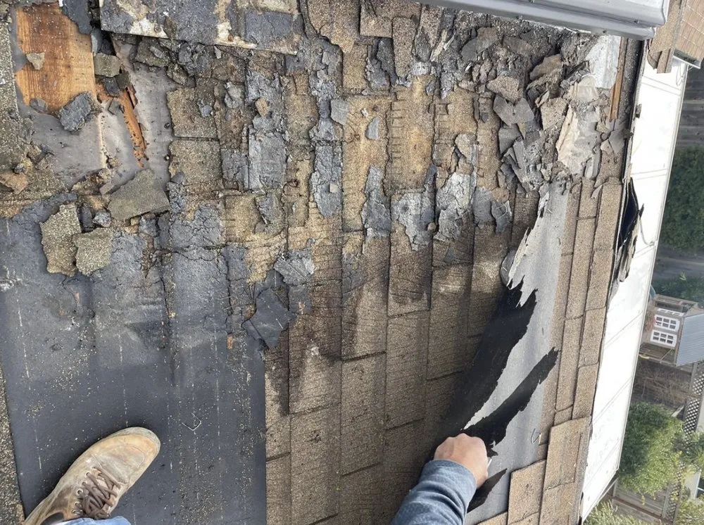 Slide of Pro Seal Roofing