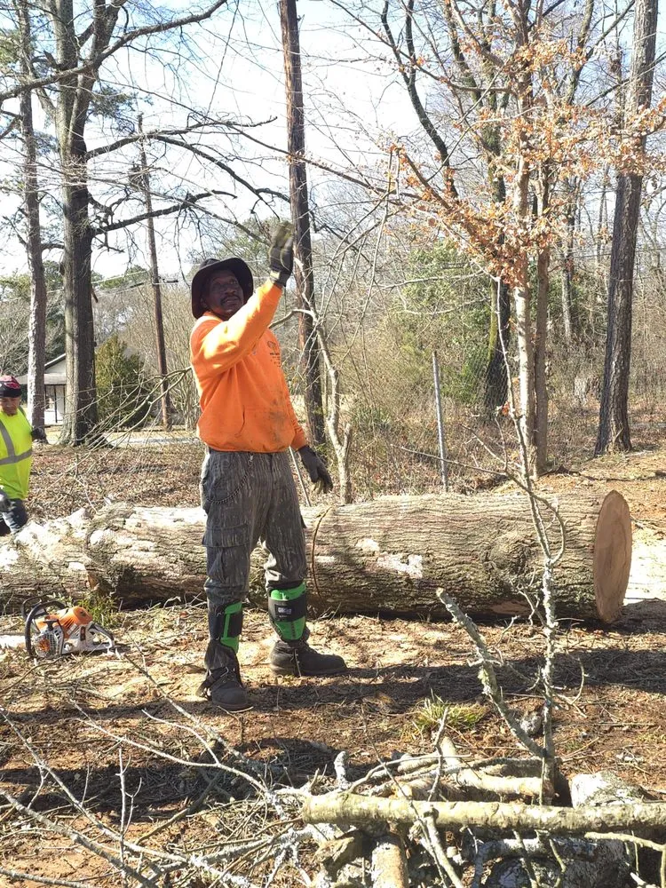 Slide of Pro Service Tree Service