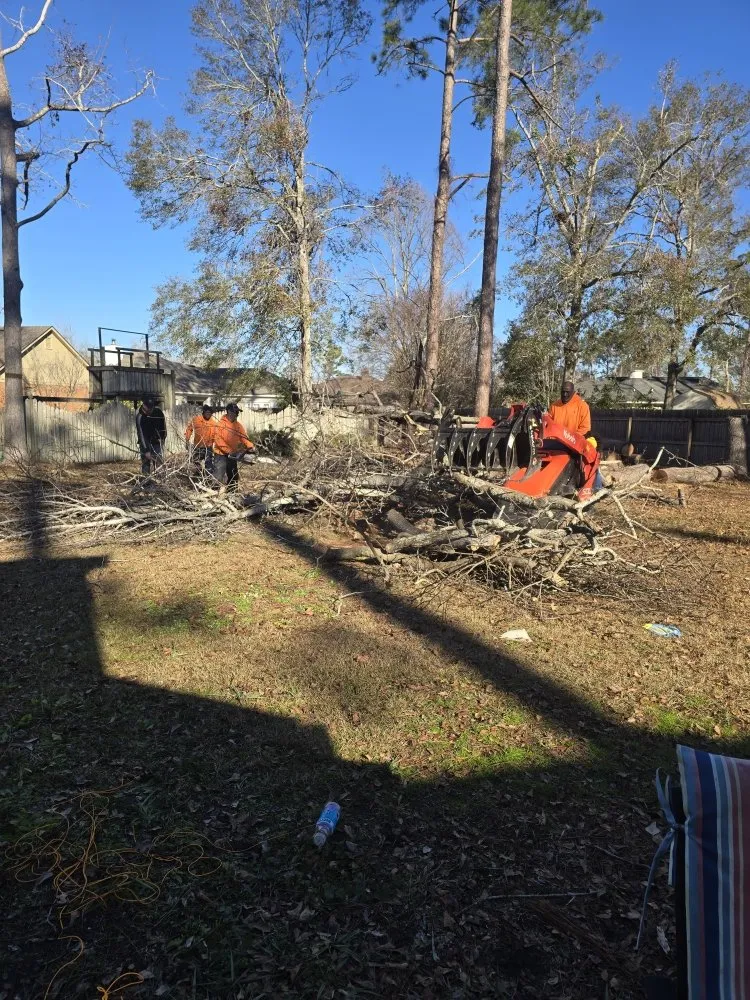 Slide of Pro Service Tree Service