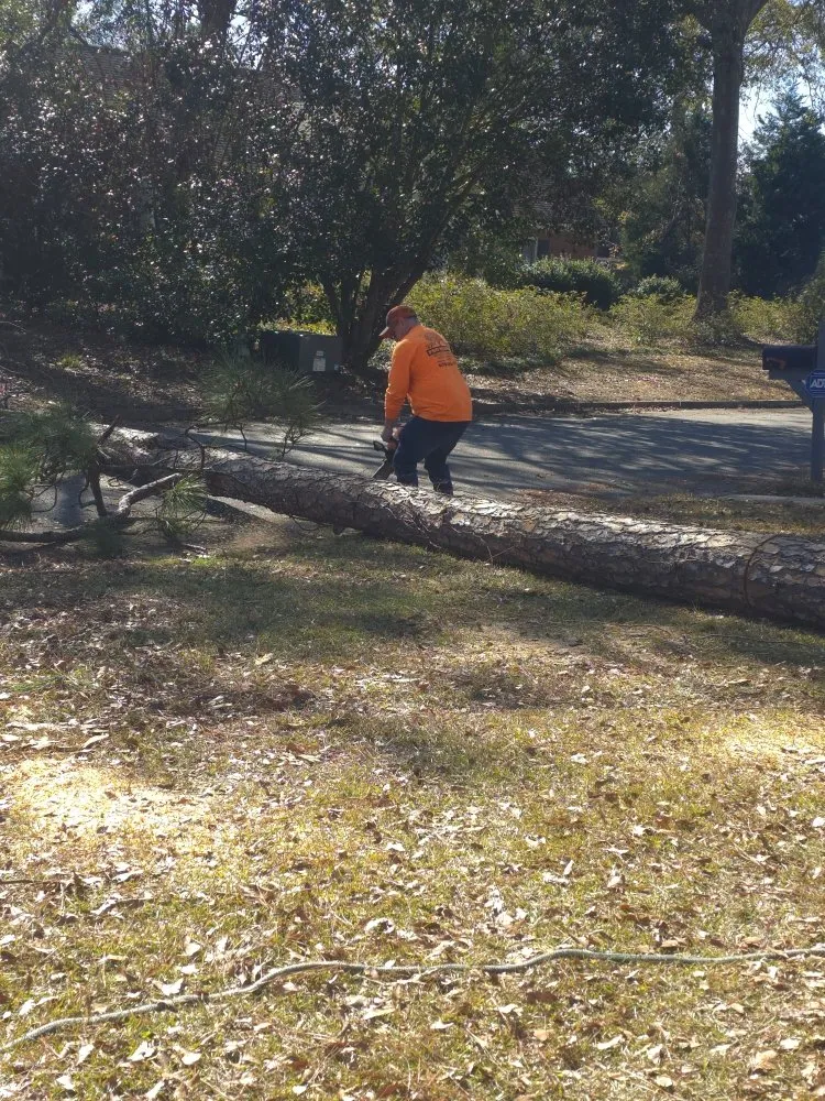 Slide of Pro Service Tree Service