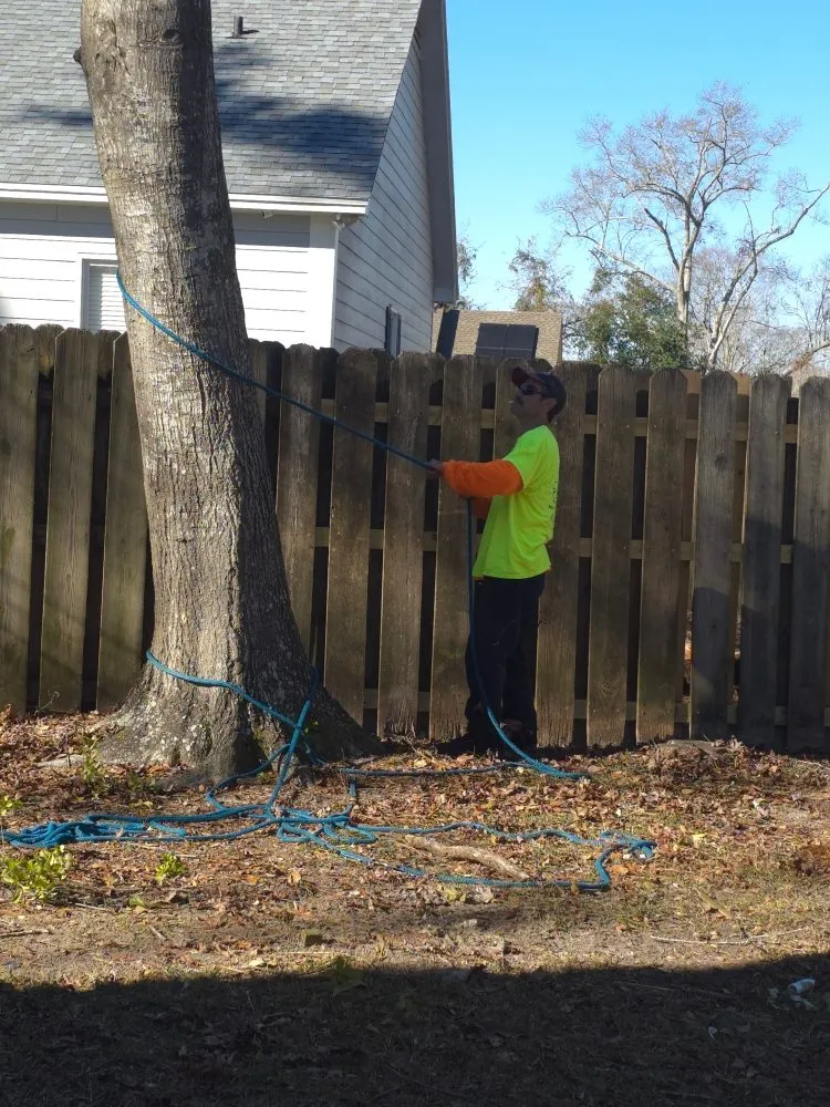 Slide of Pro Service Tree Service