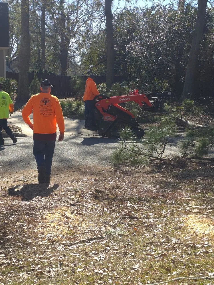 Slide of Pro Service Tree Service