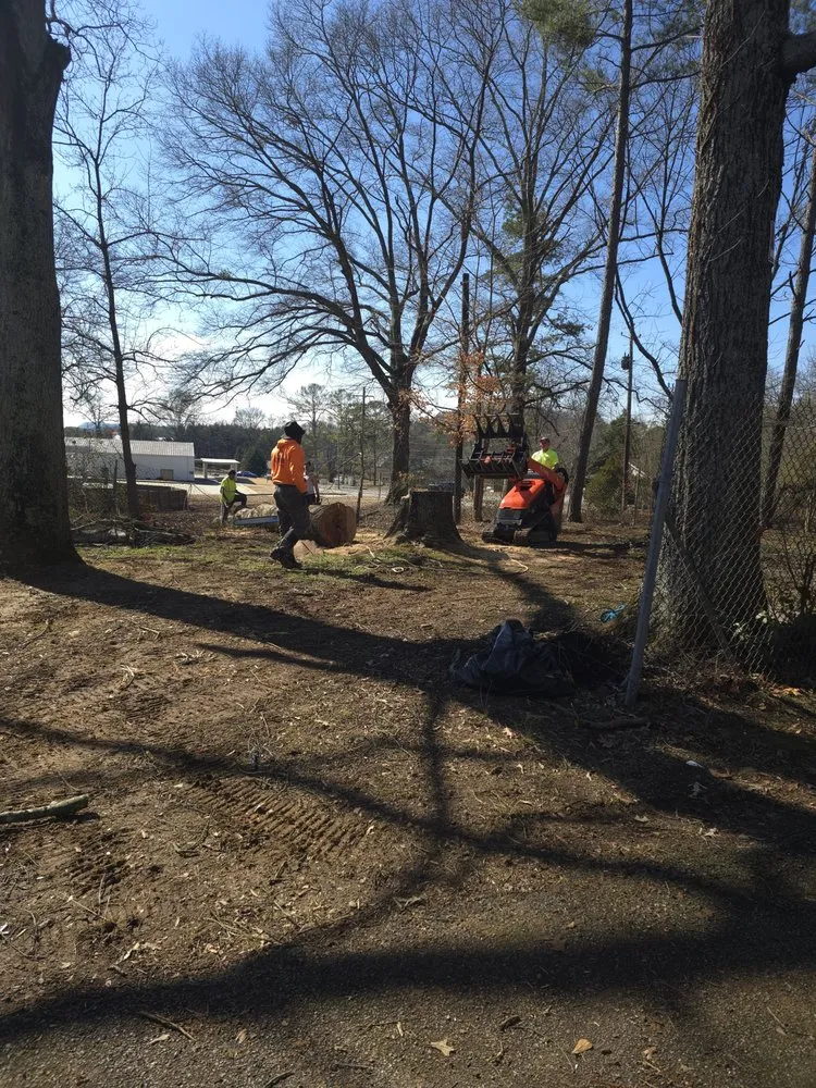 Slide of Pro Service Tree Service