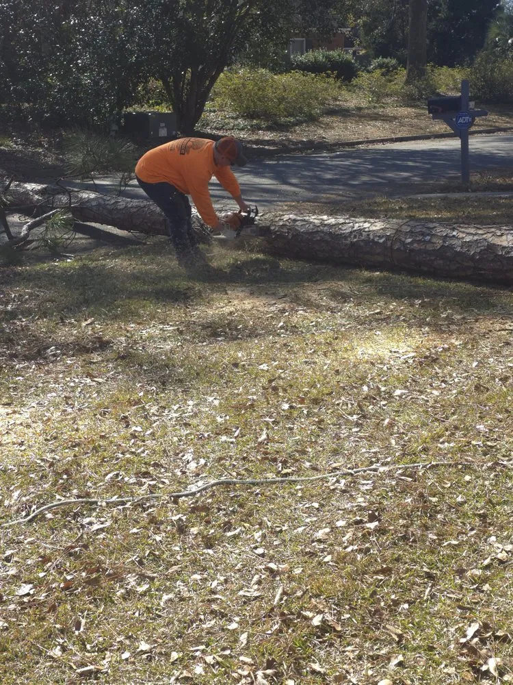 Slide of Pro Service Tree Service