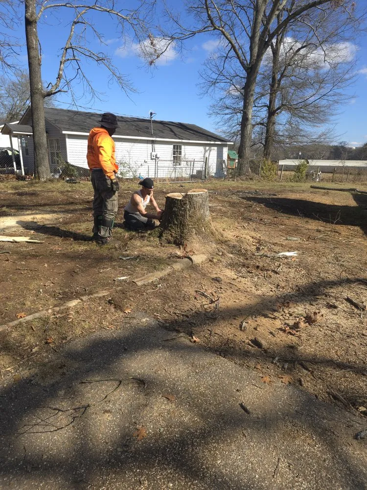 Slide of Pro Service Tree Service