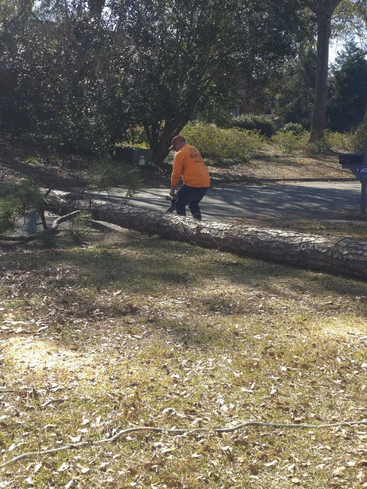 Slide of Pro Service Tree Service