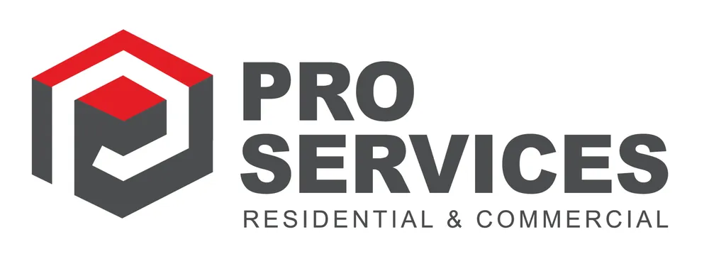 Slide of Pro Services