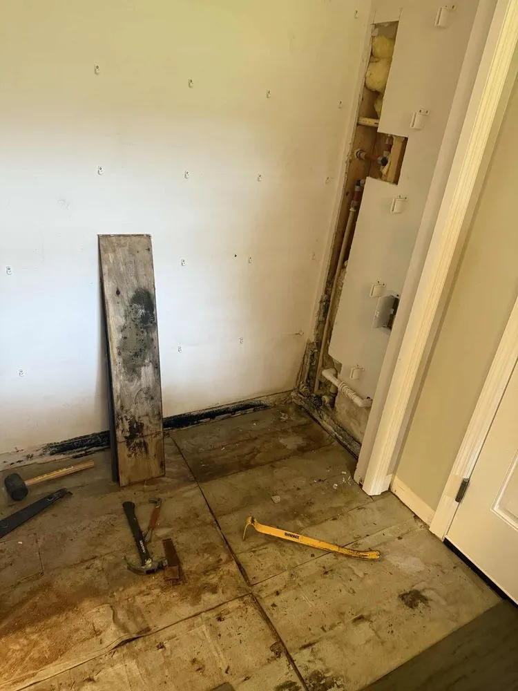 Slide of Pro Solutions Painting