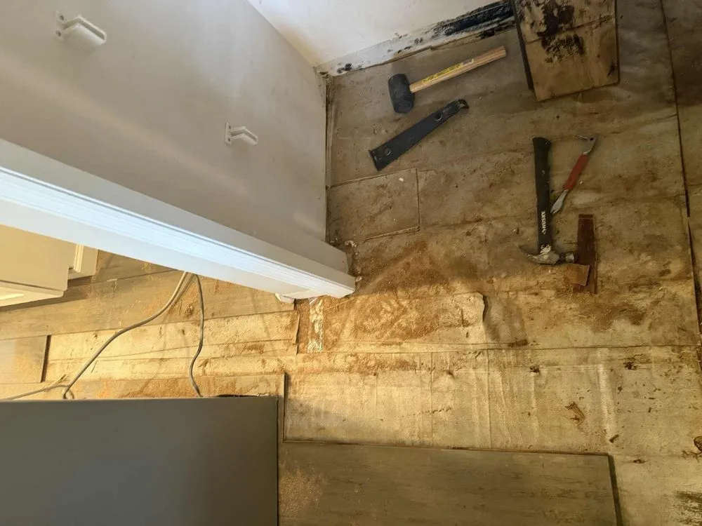 Slide of Pro Solutions Painting