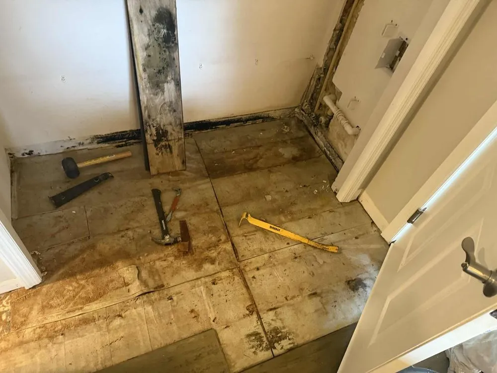 Slide of Pro Solutions Painting