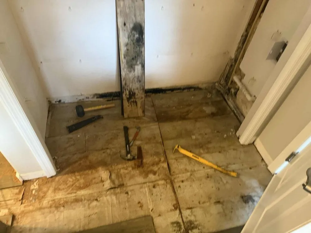 Slide of Pro Solutions Painting