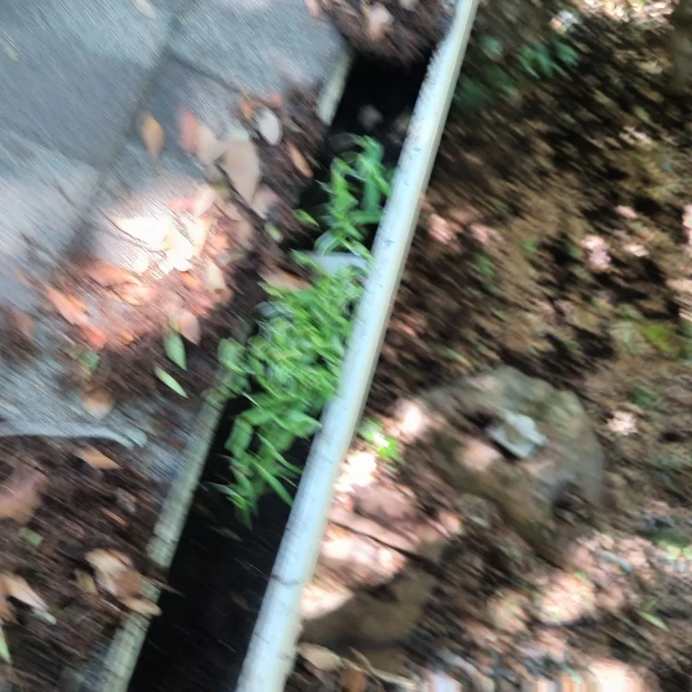 Slide of Pro Source Gutter Cleaning