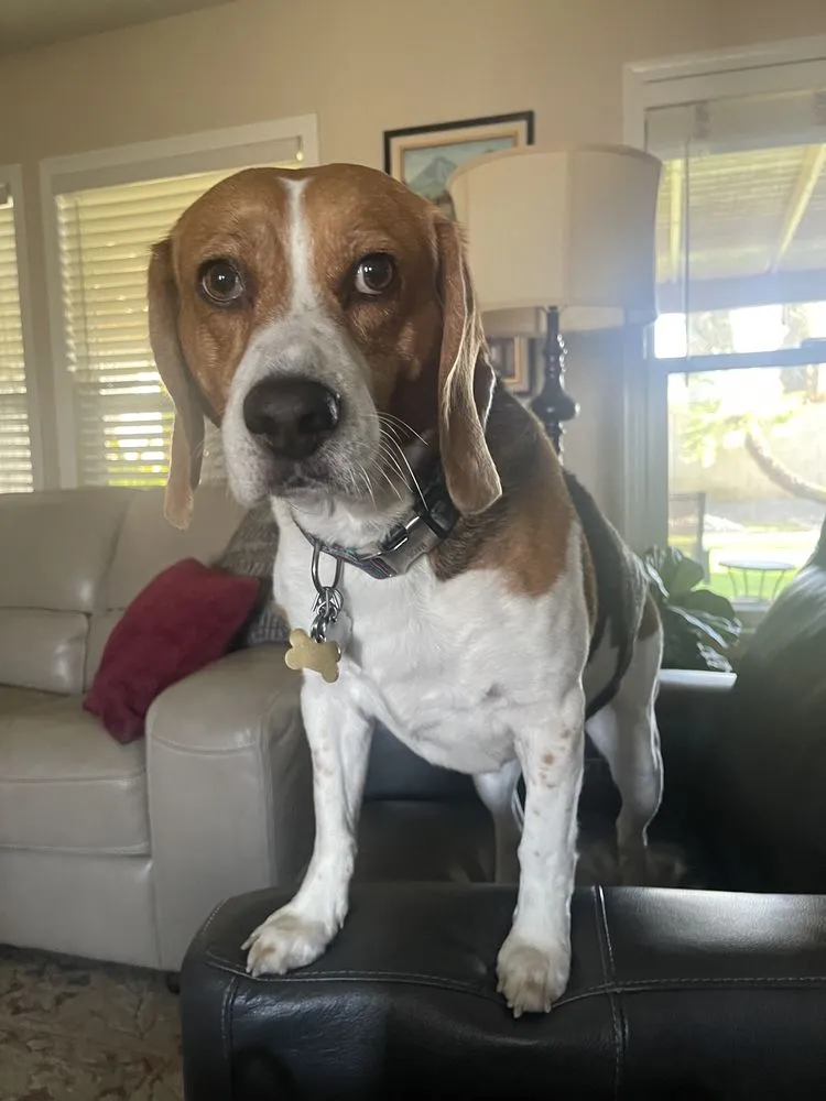 Slide of Pro-Tec Contracting