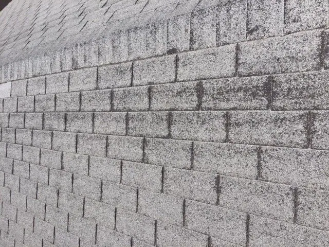 Slide of Pro-Tec Contracting