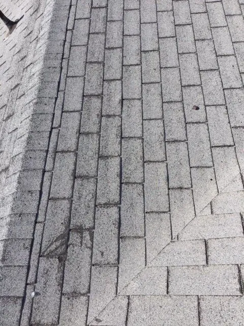 Slide of Pro-Tec Contracting