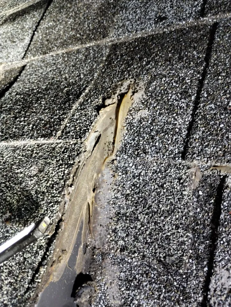 Slide of Pro-Tec Contracting