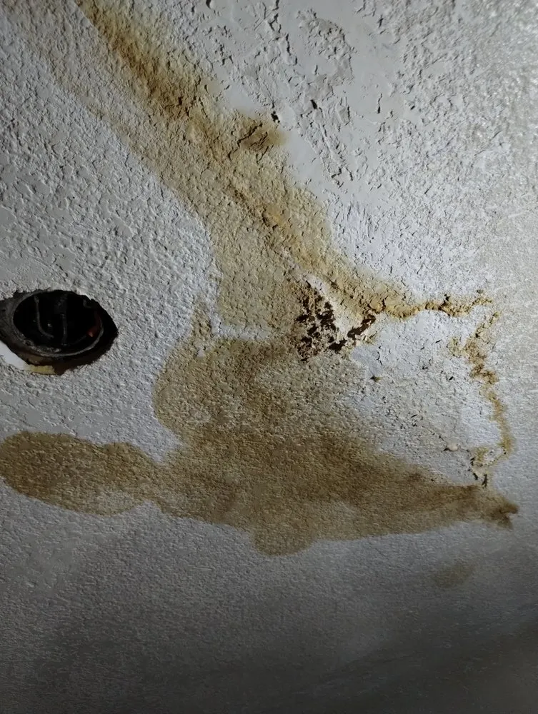 Slide of Pro-Tec Contracting