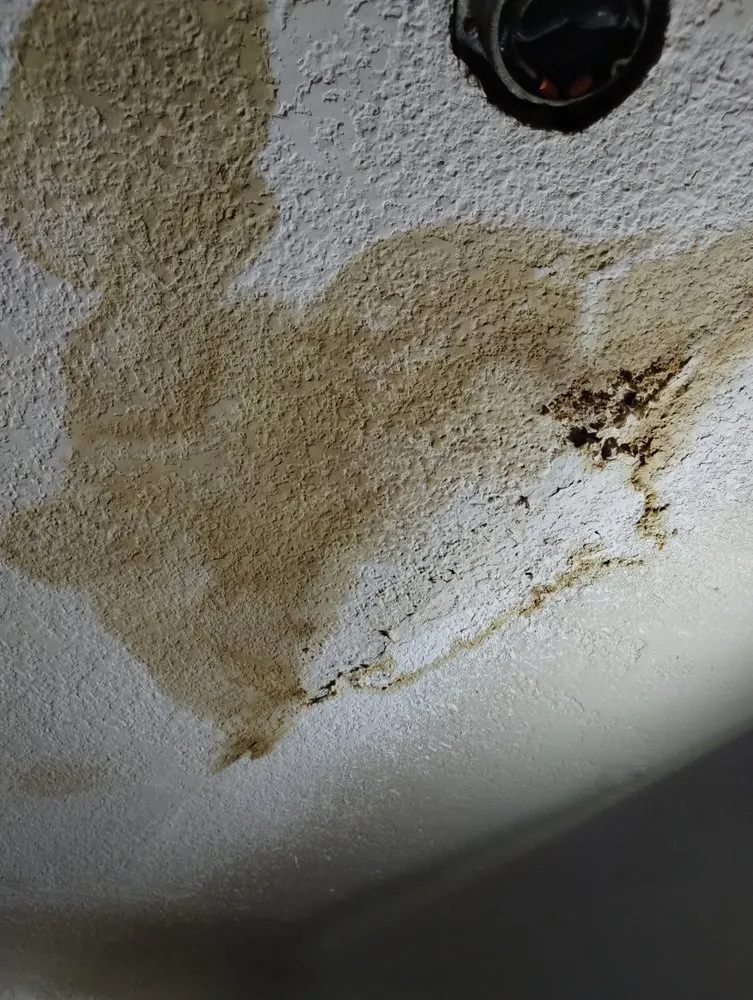 Slide of Pro-Tec Contracting