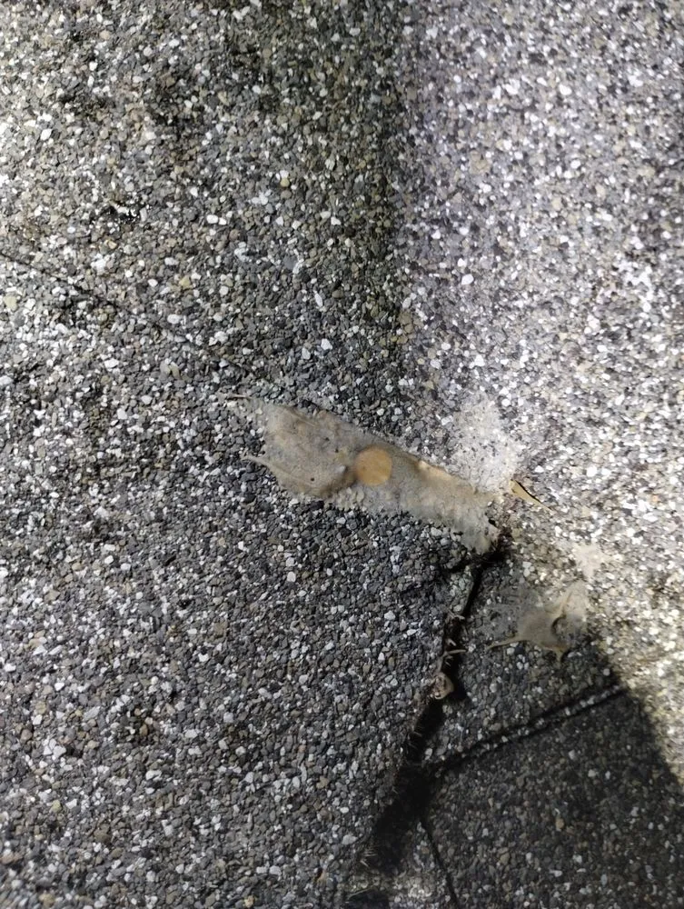 Slide of Pro-Tec Contracting