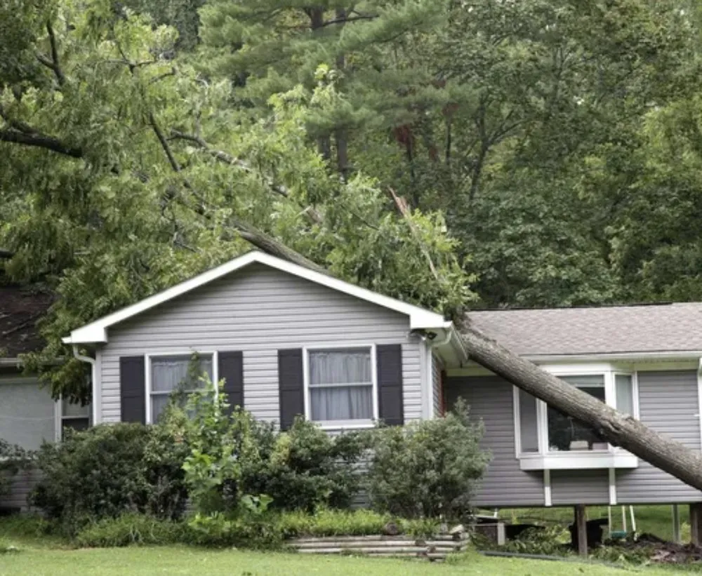 Slide of Pro Valley Roofing