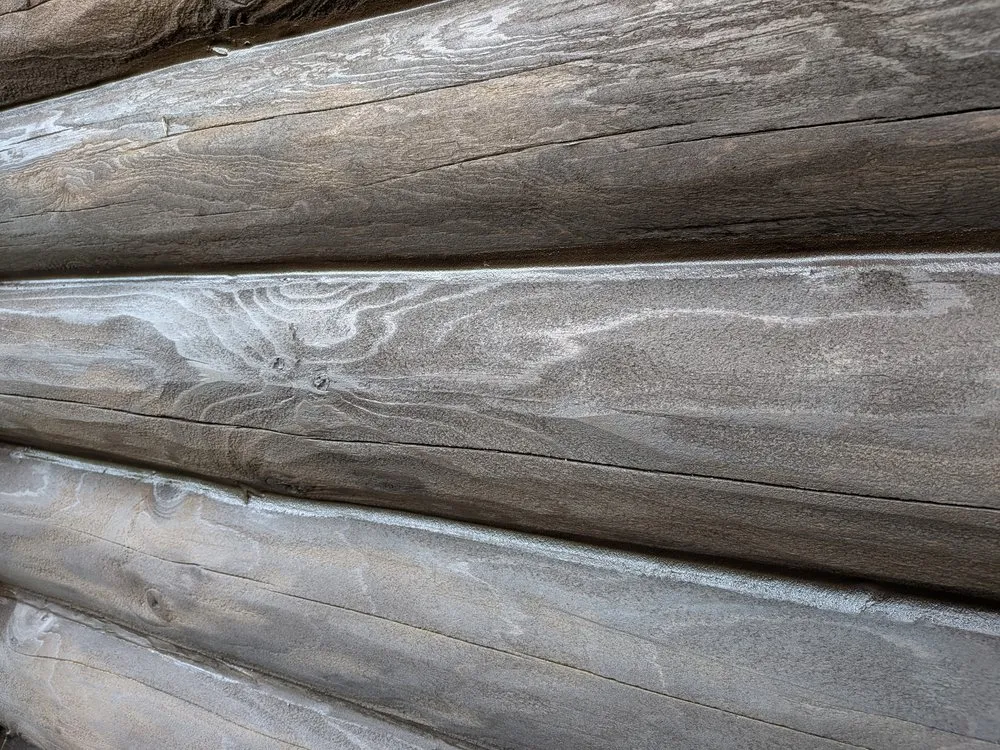 Slide of Pro Woodcare