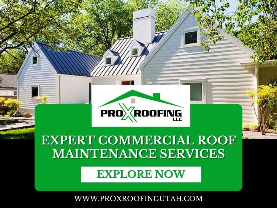 Slide of Pro X Roofing