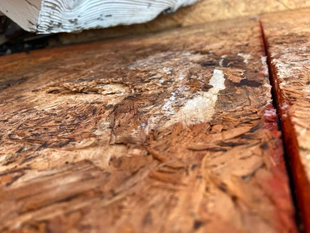 Slide of Proaccess Roofing & Restoration