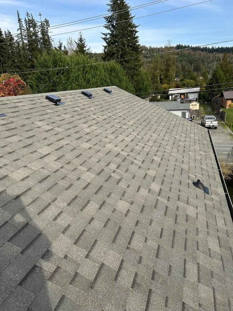 Slide of Proactive Roofing