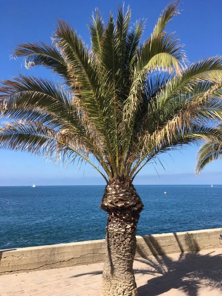 Slide of ProBuilt Building Remodeling Contractor