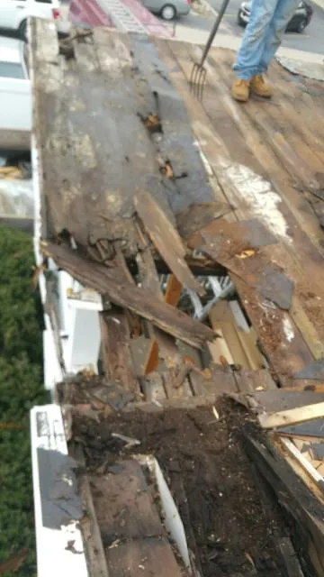 Slide of ProCare Solutions