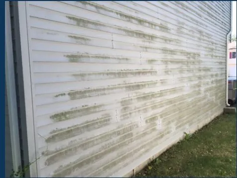 Slide of ProClean Plus