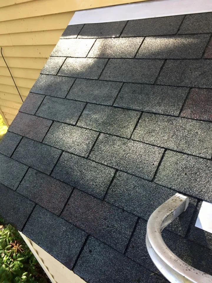 Slide of ProClean Plus