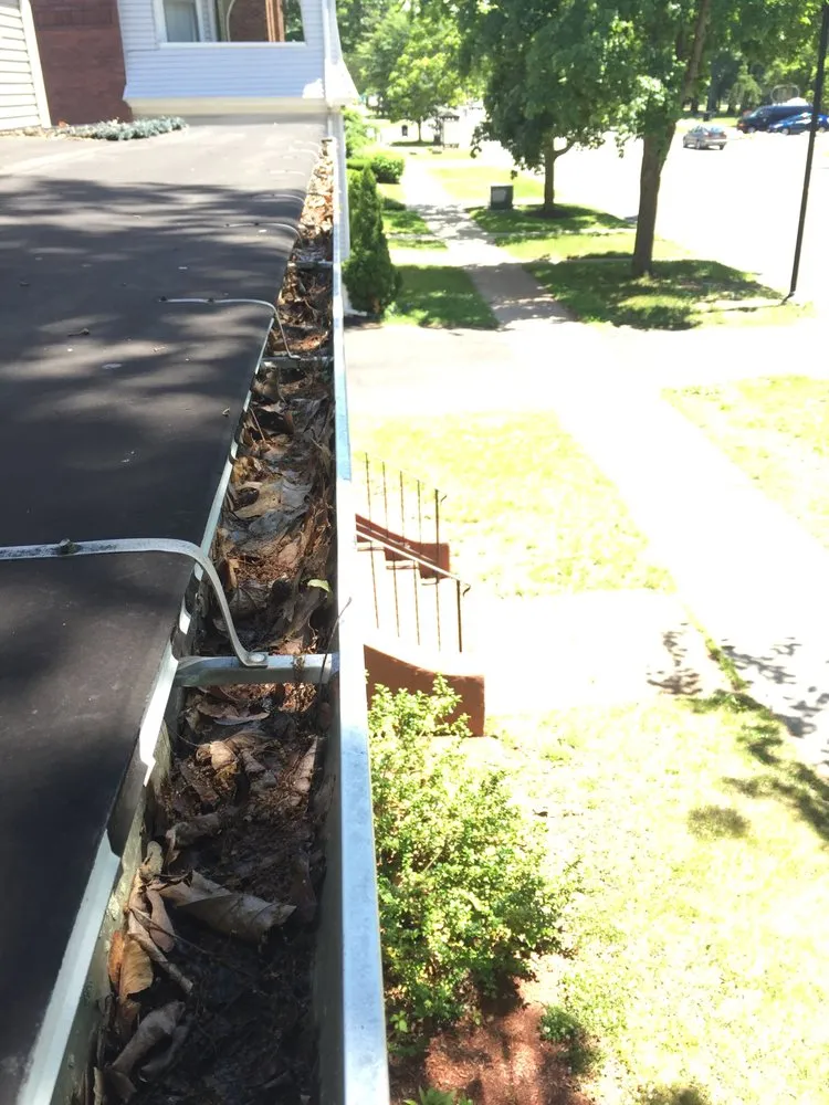 Slide of ProClean Plus