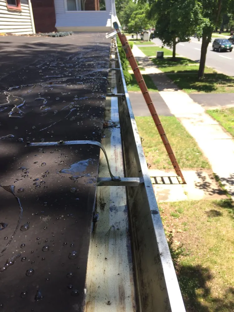 Slide of ProClean Plus