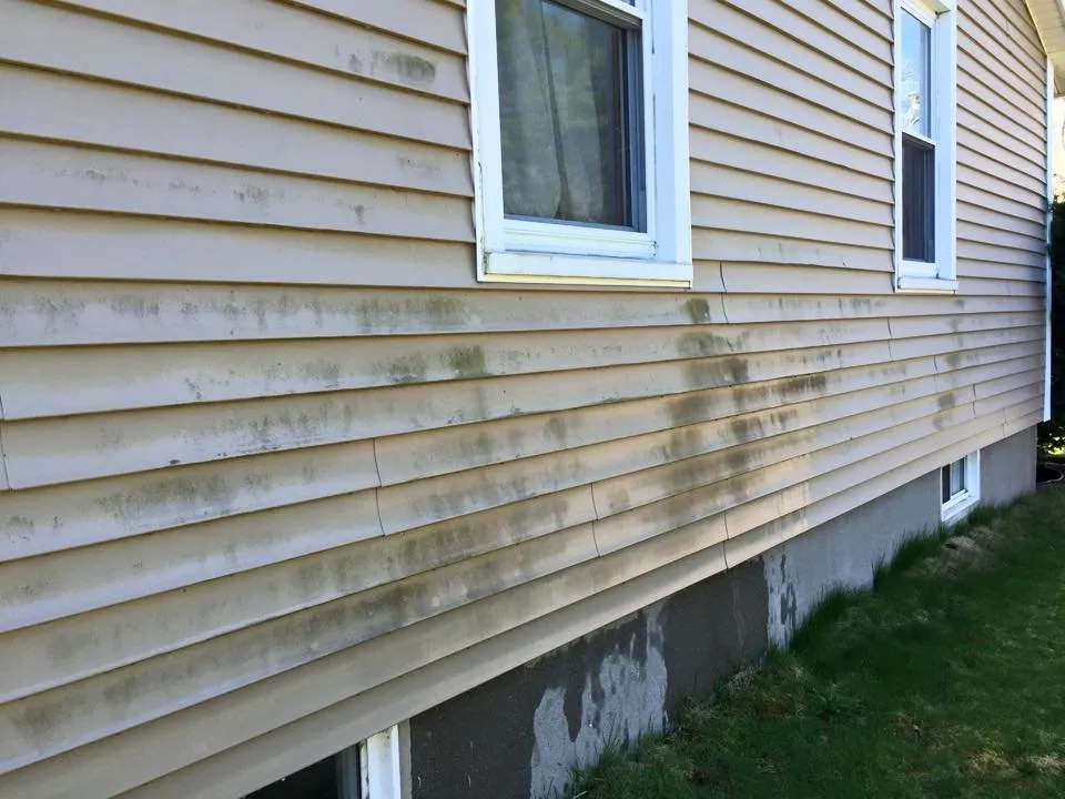 Slide of ProClean Plus