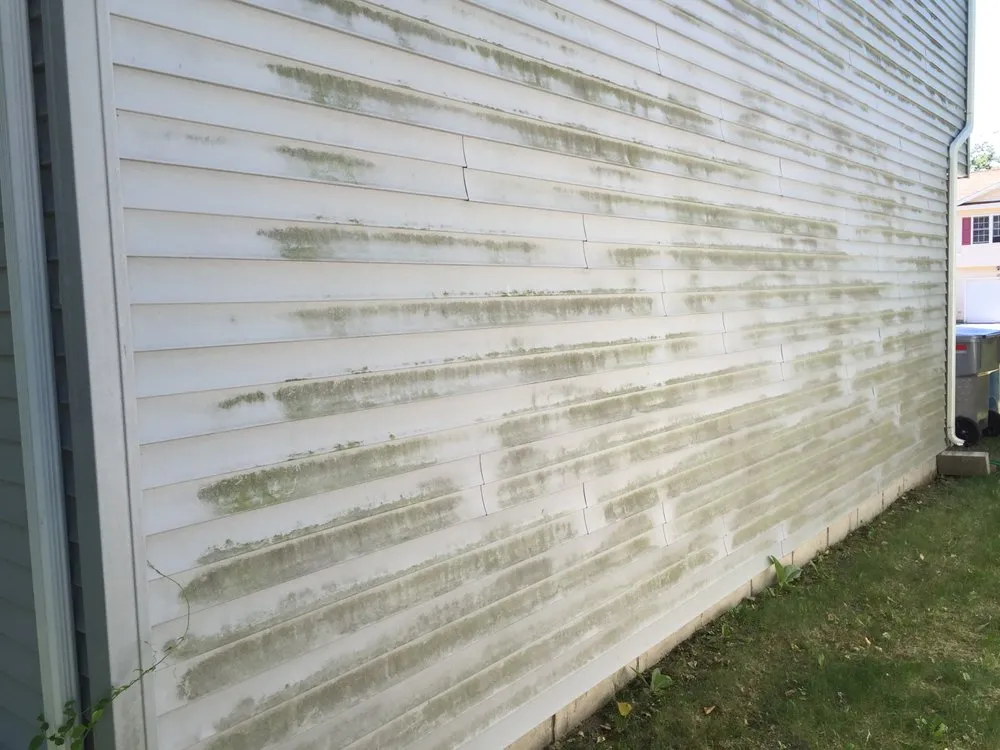 Slide of ProClean Plus