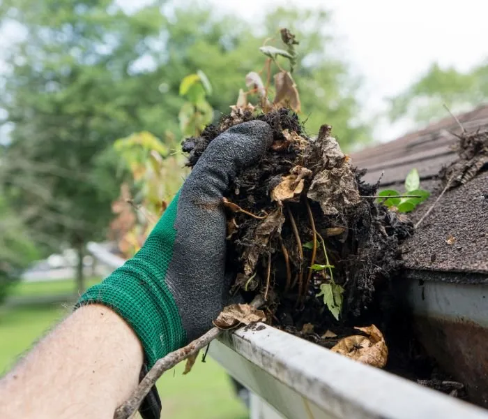 Slide of ProClean Pressure Washing