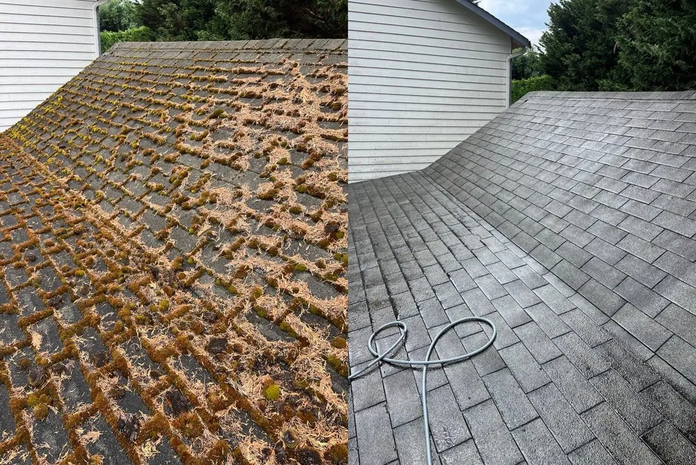 Slide of Proclean Roof and Gutter