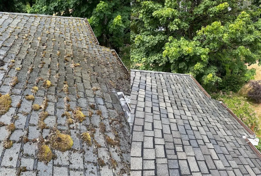 Slide of Proclean Roof and Gutter