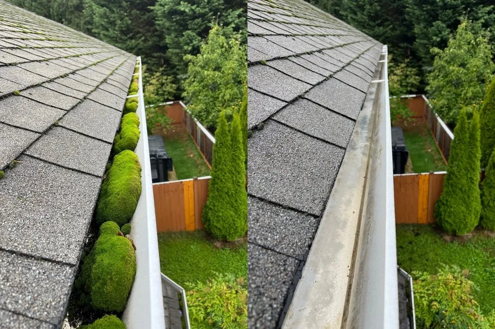 Slide of Proclean Roof and Gutter