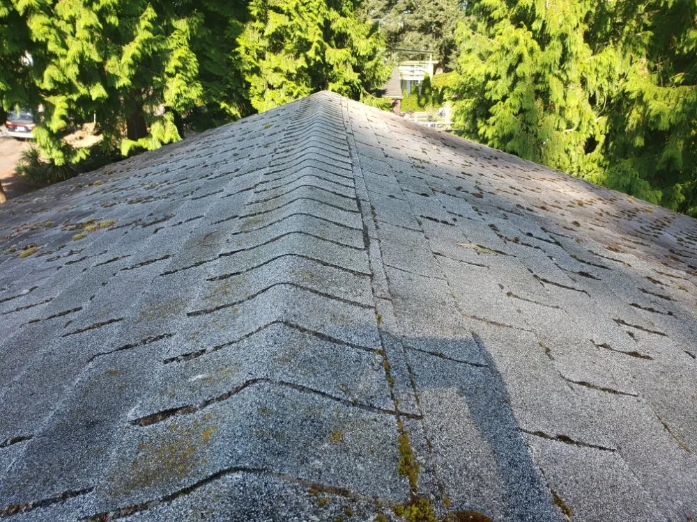 Slide of ProCleaning Seattle