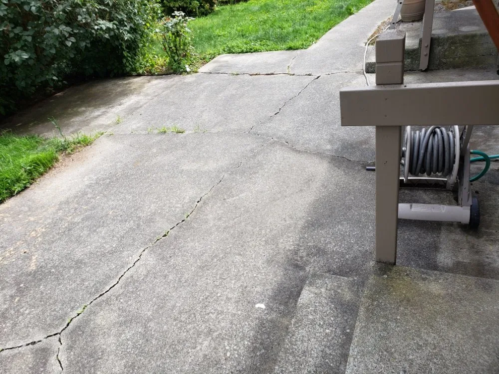 Slide of ProCleaning Seattle